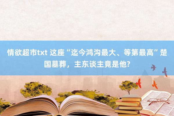 情欲超市txt 这座“迄今鸿沟最大、等第最高”楚国墓葬，主东谈主竟是他?