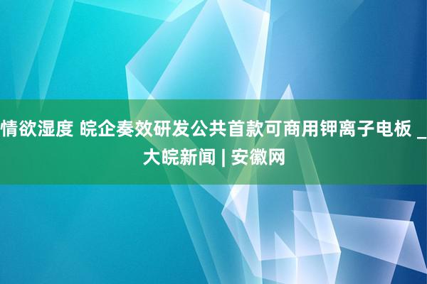 情欲湿度 皖企奏效研发公共首款可商用钾离子电板 _大皖新闻 | 安徽网