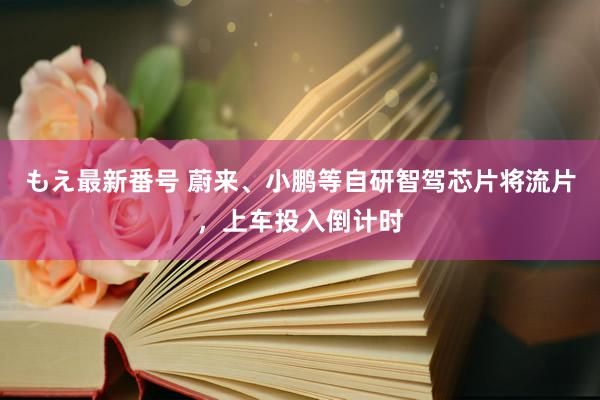 もえ最新番号 蔚来、小鹏等自研智驾芯片将流片，上车投入倒计时