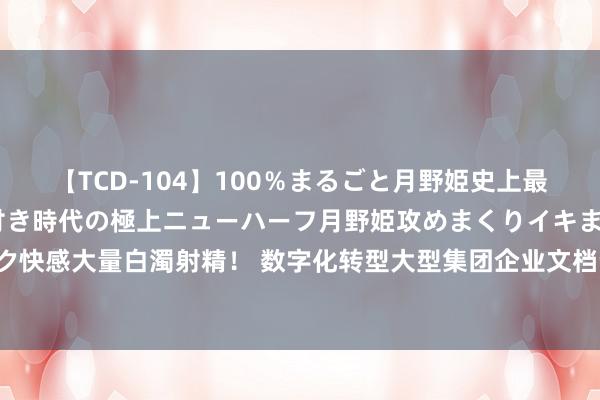 【TCD-104】100％まるごと月野姫史上最強ベスト！ 究極の玉竿付き時代の極上ニューハーフ月野姫攻めまくりイキまくりファック快感大量白濁射精！ 数字化转型大型集团企业文档云盘守护应用云平台有猜度打算（PPT）