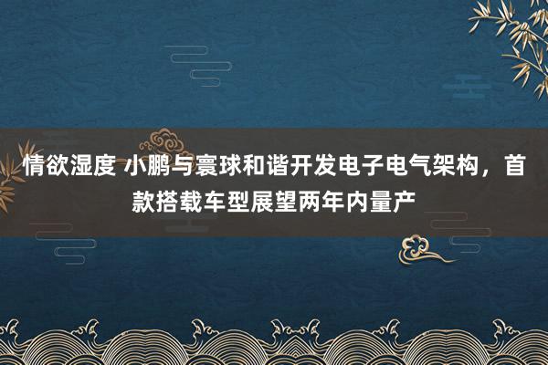 情欲湿度 小鹏与寰球和谐开发电子电气架构，首款搭载车型展望两年内量产