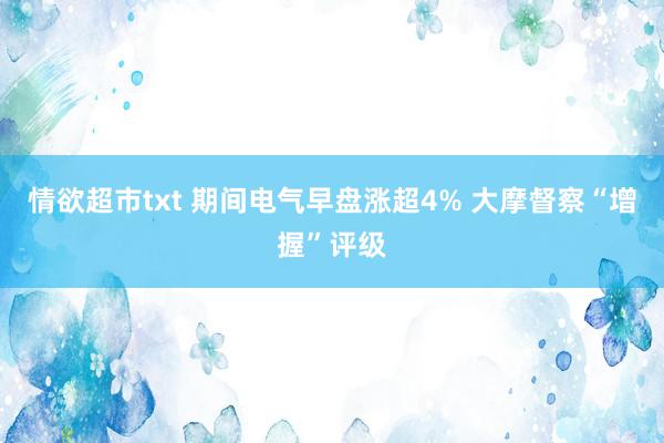 情欲超市txt 期间电气早盘涨超4% 大摩督察“增握”评级