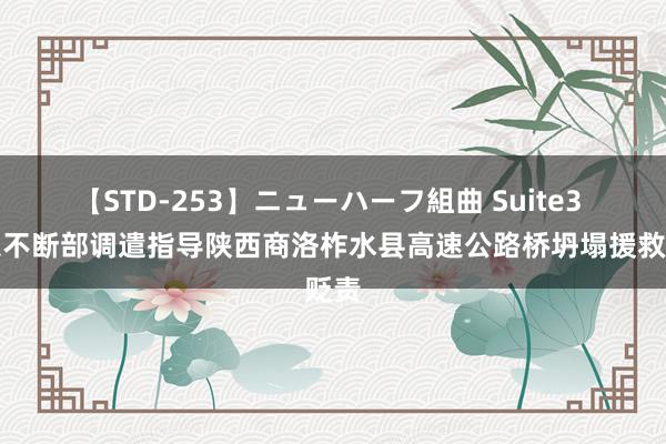 【STD-253】ニューハーフ組曲 Suite3 济急不断部调遣指导陕西商洛柞水县高速公路桥坍塌援救贬责