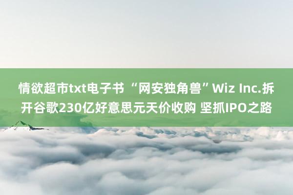 情欲超市txt电子书 “网安独角兽”Wiz Inc.拆开谷歌230亿好意思元天价收购 坚抓IPO之路