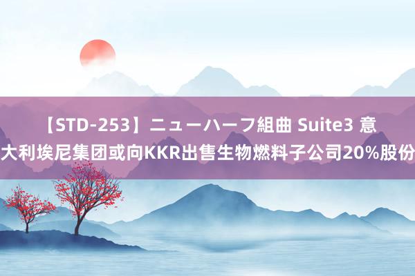 【STD-253】ニューハーフ組曲 Suite3 意大利埃尼集团或向KKR出售生物燃料子公司20%股份