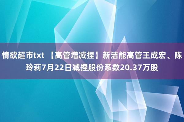 情欲超市txt 【高管增减捏】新洁能高管王成宏、陈玲莉7月22日减捏股份系数20.37万股