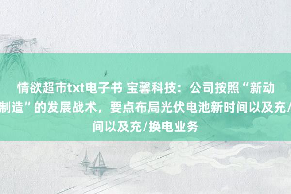 情欲超市txt电子书 宝馨科技：公司按照“新动力＋智能制造”的发展战术，要点布局光伏电池新时间以及充/换电业务