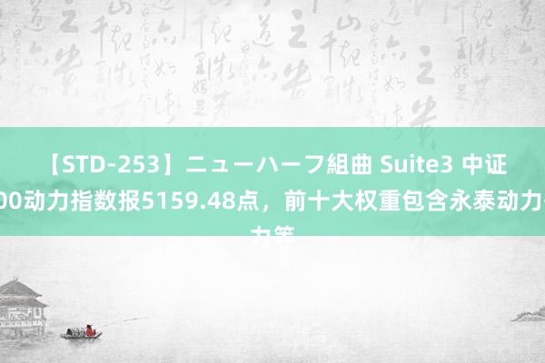 【STD-253】ニューハーフ組曲 Suite3 中证500动力指数报5159.48点，前十大权重包含永泰动力等