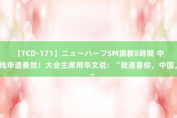 【TCD-171】ニューハーフSM調教8時間 中轴线申遗奏效！大会主席用华文说：“我道喜你，中国。”