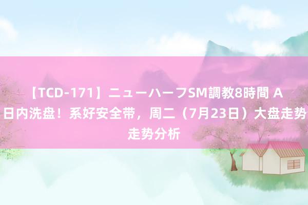 【TCD-171】ニューハーフSM調教8時間 A股：日内洗盘！系好安全带，周二（7月23日）大盘走势分析