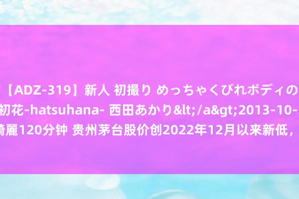 【ADZ-319】新人 初撮り めっちゃくびれボディの癒し系ガール 初花-hatsuhana- 西田あかり</a>2013-10-11KUKI&$綺麗120分钟 贵州茅台股价创2022年12月以来新低，民众：股价被低估，市面目位不成替代