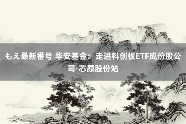 もえ最新番号 华安基金：走进科创板ETF成份股公司·芯原股份站