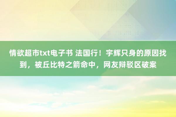 情欲超市txt电子书 法国行！宇辉只身的原因找到，被丘比特之箭命中，网友辩驳区破案