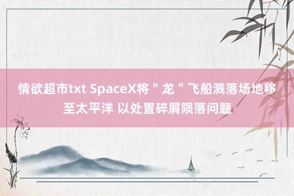 情欲超市txt SpaceX将＂龙＂飞船溅落场地移至太平洋 以处置碎屑陨落问题