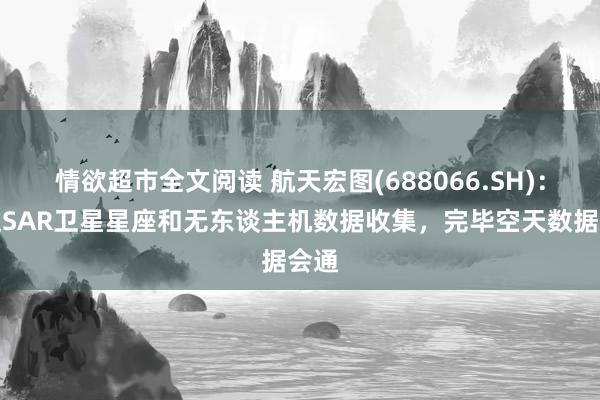 情欲超市全文阅读 航天宏图(688066.SH)：通过SAR卫星星座和无东谈主机数据收集，完毕空天数据会通