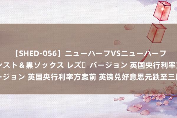 【SHED-056】ニューハーフVSニューハーフ 不純同性肛遊 3 黒パンスト＆黒ソックス レズ・バージョン 英国央行利率方案前 英镑兑好意思元跌至三周低点