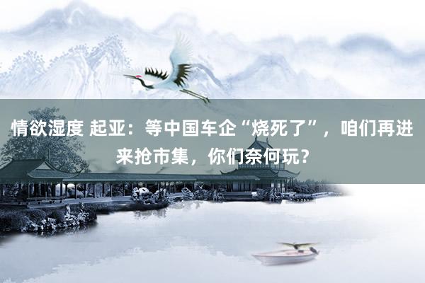 情欲湿度 起亚：等中国车企“烧死了”，咱们再进来抢市集，你们奈何玩？