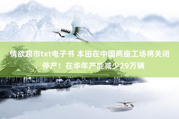 情欲超市txt电子书 本田在中国两座工场将关闭、停产！在华年产能减少29万辆