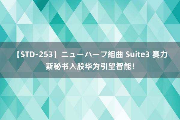 【STD-253】ニューハーフ組曲 Suite3 赛力斯秘书入股华为引望智能！