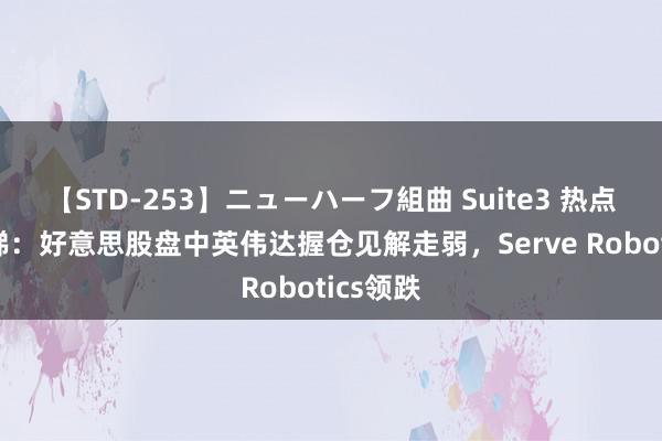 【STD-253】ニューハーフ組曲 Suite3 热点板块速睇：好意思股盘中英伟达握仓见解走弱，Serve Robotics领跌