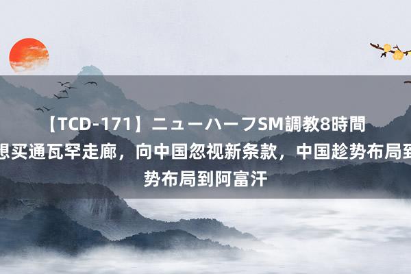 【TCD-171】ニューハーフSM調教8時間 塔利班想买通瓦罕走廊，向中国忽视新条款，中国趁势布局到阿富汗