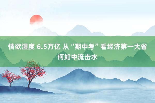 情欲湿度 6.5万亿 从“期中考”看经济第一大省何如中流击水