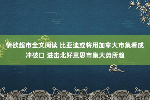 情欲超市全文阅读 比亚迪或将用加拿大市集看成冲破口 进击北好意思市集大势所趋