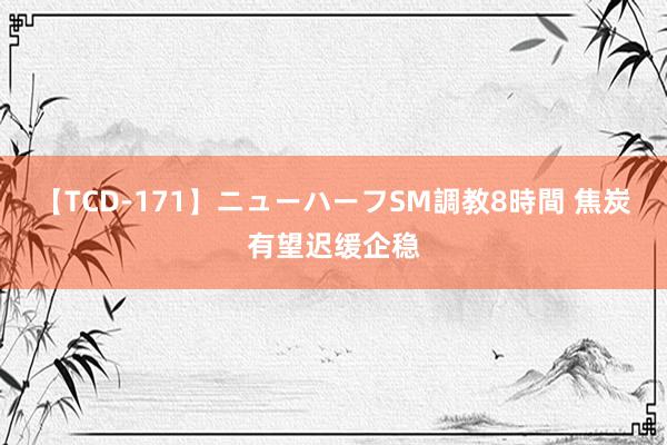 【TCD-171】ニューハーフSM調教8時間 焦炭有望迟缓企稳