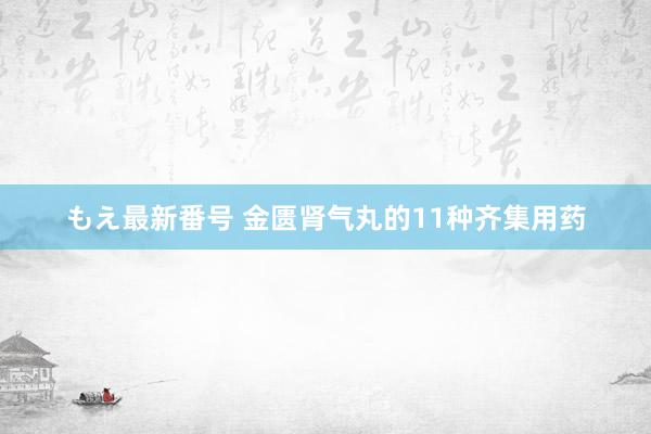 もえ最新番号 金匮肾气丸的11种齐集用药