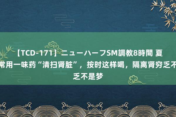 【TCD-171】ニューハーフSM調教8時間 夏令里常用一味药“清扫肾脏”，按时这样喝，隔离肾穷乏不是梦