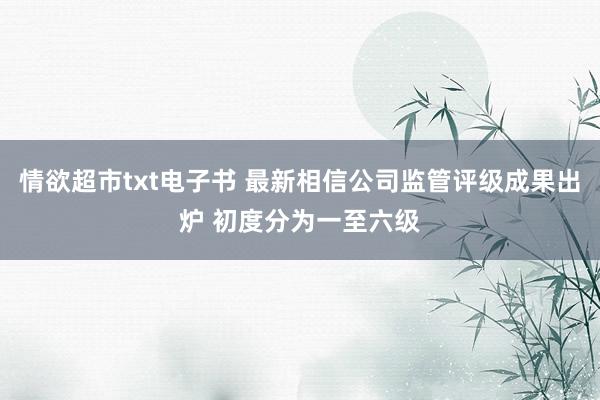 情欲超市txt电子书 最新相信公司监管评级成果出炉 初度分为一至六级