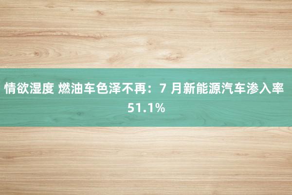 情欲湿度 燃油车色泽不再：7 月新能源汽车渗入率 51.1%