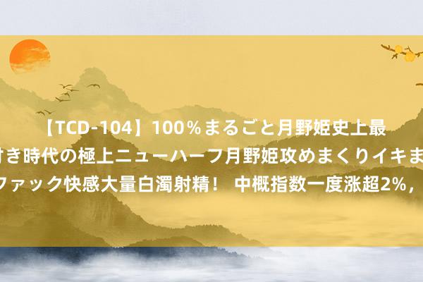 【TCD-104】100％まるごと月野姫史上最強ベスト！ 究極の玉竿付き時代の極上ニューハーフ月野姫攻めまくりイキまくりファック快感大量白濁射精！ 中概指数一度涨超2%，阿里、京东、理念念至少涨超5%