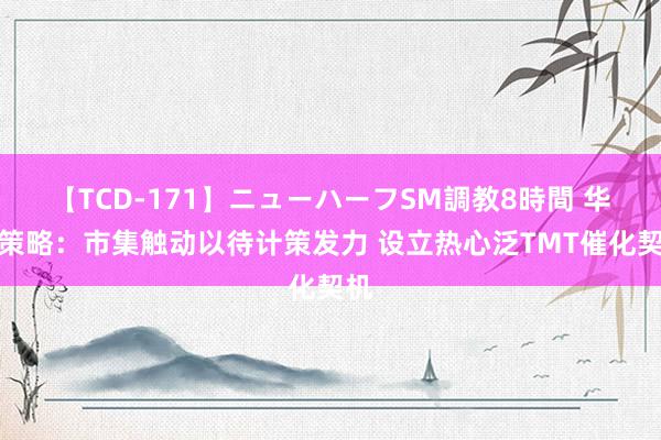 【TCD-171】ニューハーフSM調教8時間 华安策略：市集触动以待计策发力 设立热心泛TMT催化契机