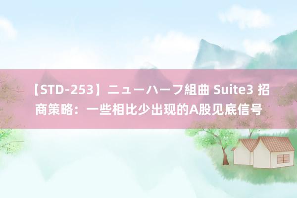 【STD-253】ニューハーフ組曲 Suite3 招商策略：一些相比少出现的A股见底信号