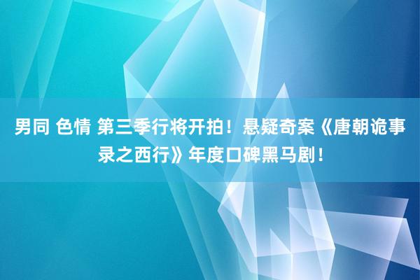 男同 色情 第三季行将开拍！悬疑奇案《唐朝诡事录之西行》年度口碑黑马剧！