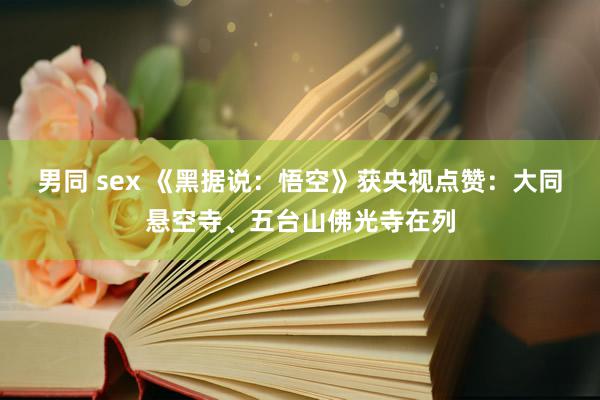 男同 sex 《黑据说：悟空》获央视点赞：大同悬空寺、五台山佛光寺在列