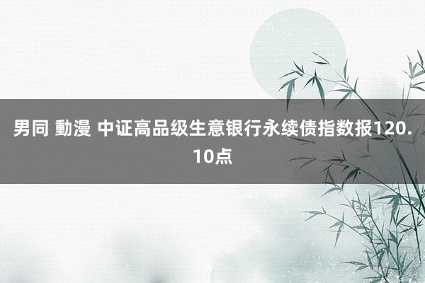 男同 動漫 中证高品级生意银行永续债指数报120.10点