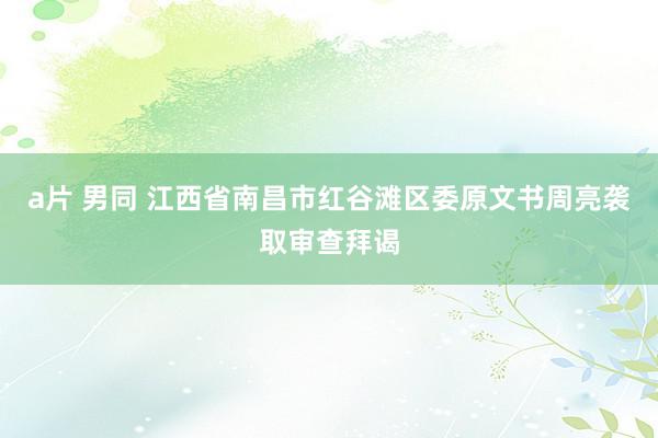 a片 男同 江西省南昌市红谷滩区委原文书周亮袭取审查拜谒