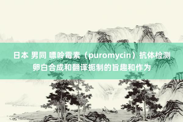 日本 男同 嘌呤霉素（puromycin）抗体检测卵白合成和翻译扼制的旨趣和作为