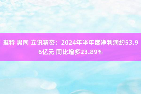 推特 男同 立讯精密：2024年半年度净利润约53.96亿元 同比增多23.89%