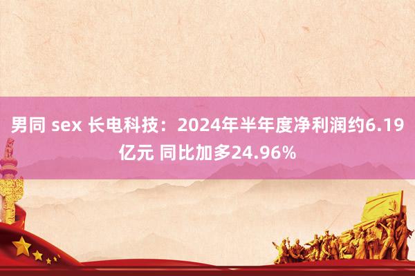 男同 sex 长电科技：2024年半年度净利润约6.19亿元 同比加多24.96%