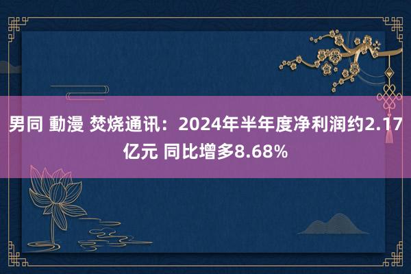 男同 動漫 焚烧通讯：2024年半年度净利润约2.17亿元 同比增多8.68%