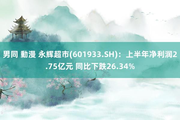 男同 動漫 永辉超市(601933.SH)：上半年净利润2.75亿元 同比下跌26.34%