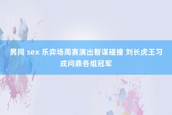 男同 sex 乐弈场周赛演出智谋碰撞 刘长虎王习戎问鼎各组冠军