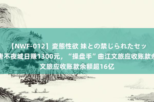 【NWF-012】変態性欲 妹との禁じられたセックス。 大唐不夜城日赚1300元，“操盘手”曲江文旅应收账款余额超16亿