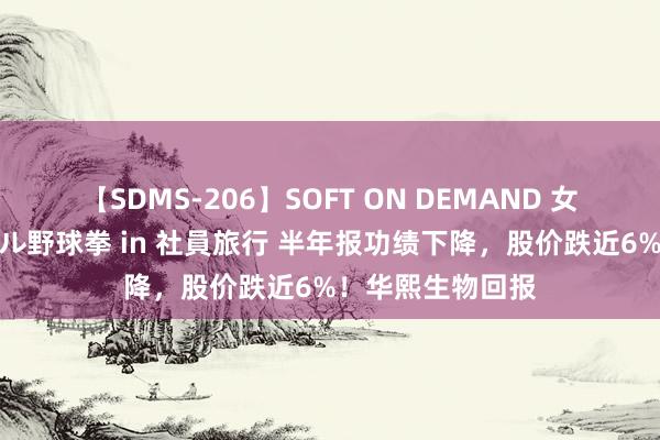 【SDMS-206】SOFT ON DEMAND 女子社員スペシャル野球拳 in 社員旅行 半年报功绩下降，股价跌近6%！华熙生物回报