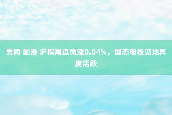 男同 動漫 沪指尾盘微涨0.04%，固态电板见地再度活跃